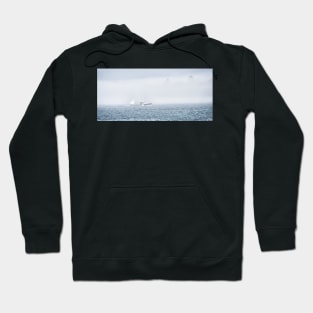 Earnest Elements of Nature Hoodie